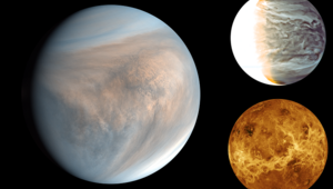 Leben auf der Venus