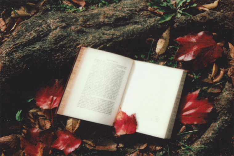 Herbst