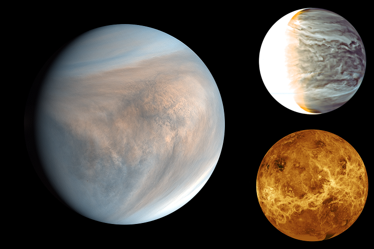 Leben auf der Venus