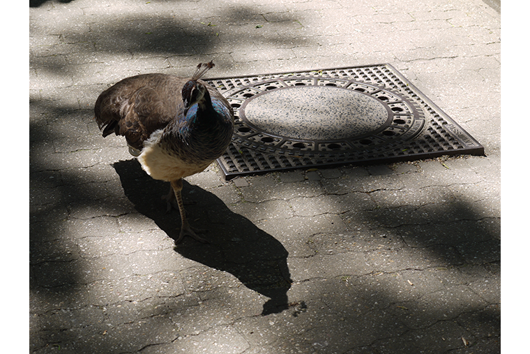 Tierpark